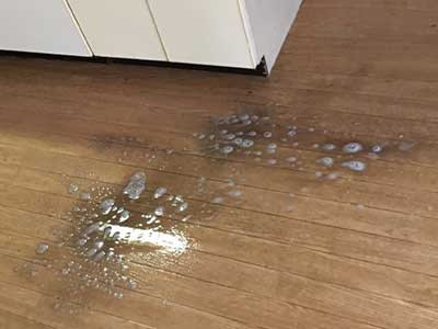 床洗浄