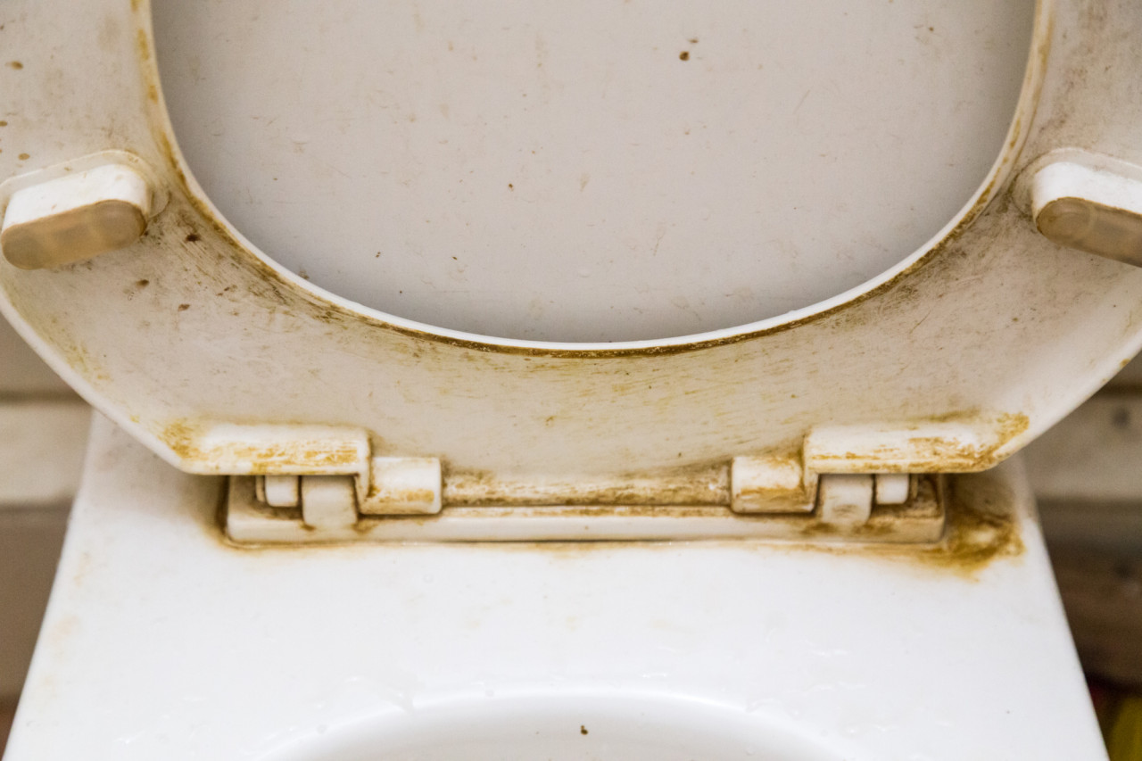 目には見えない汚れが付着するトイレ！千葉県内のハウスクリーニング業者に依頼！